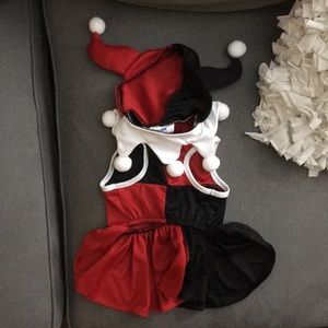 Harley Quinn Pet Costume